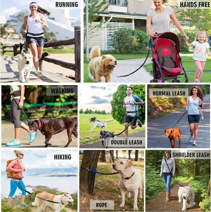 Hands-free dog leash with zipper pocket