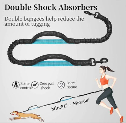 Hands-free dog leash with zipper pocket