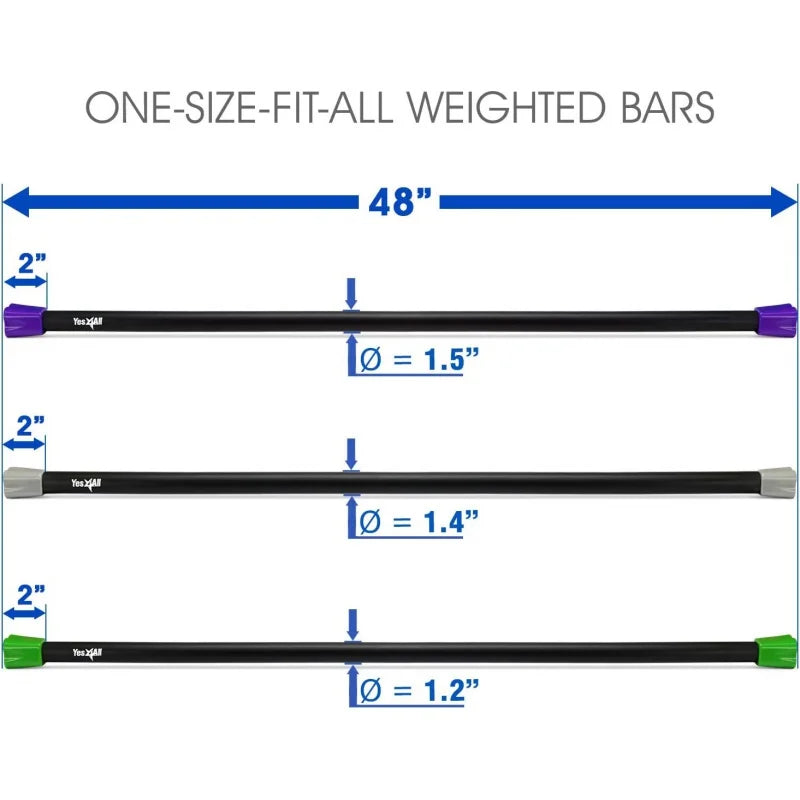 Workout Weighted Bar