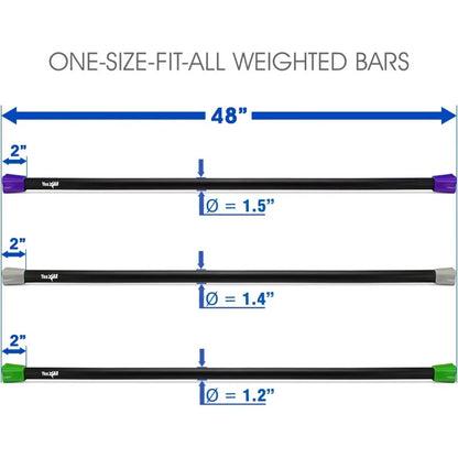 Workout Weighted Bar