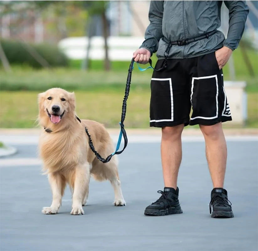 Hands-free dog leash with zipper pocket