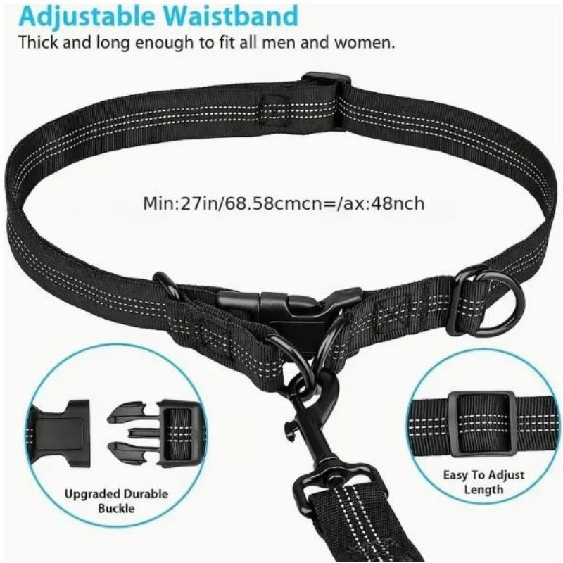 Hands-free dog leash with zipper pocket