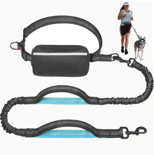 Hands-free dog leash with zipper pocket